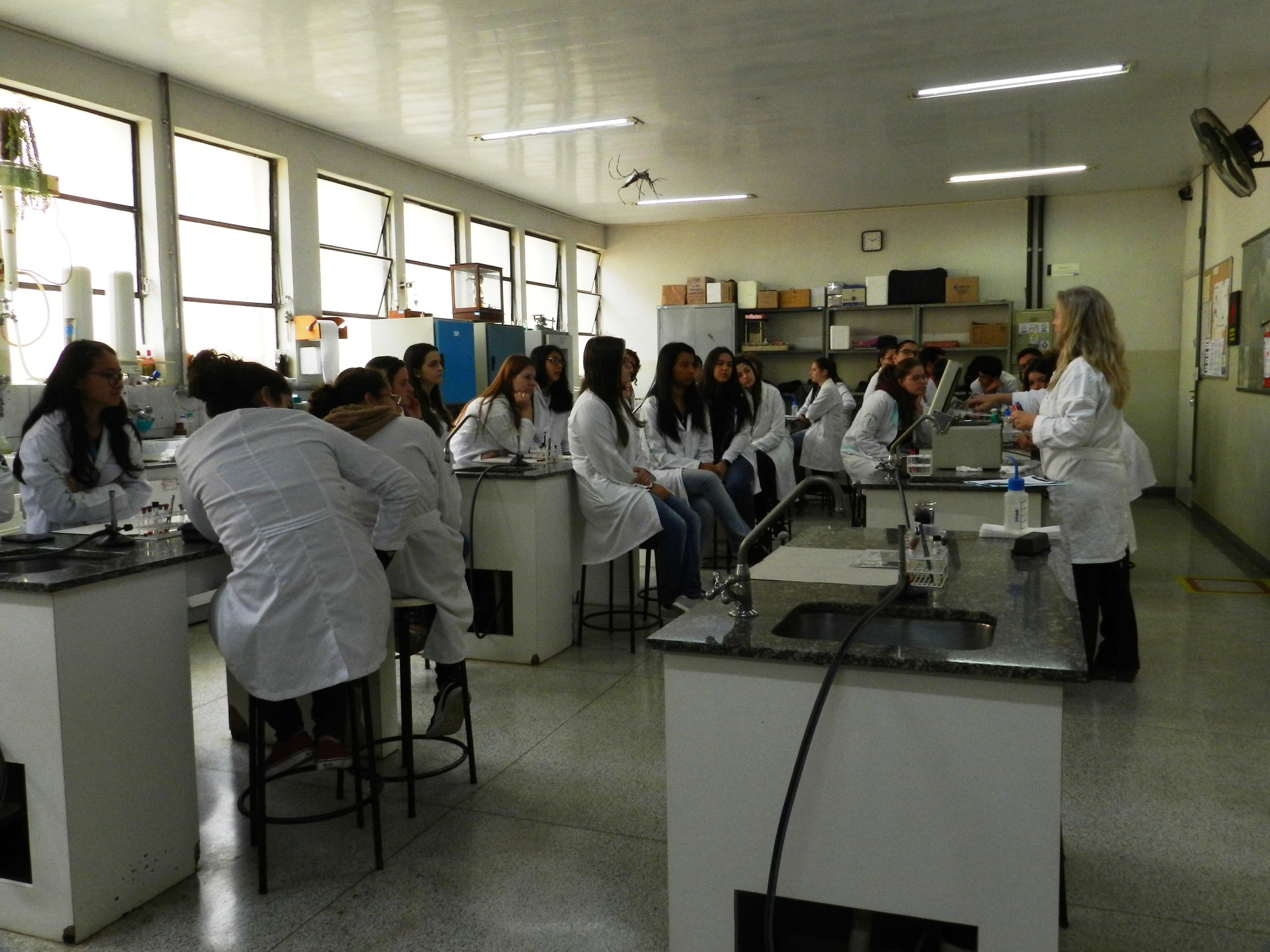 Aula_pr%c3%a1tica-_imunologia