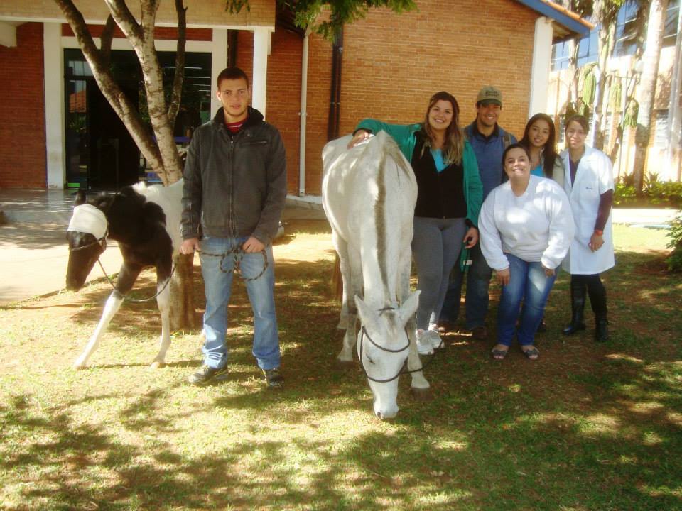 Animais_internados_no_hvet_pelo_campus_da_fesb