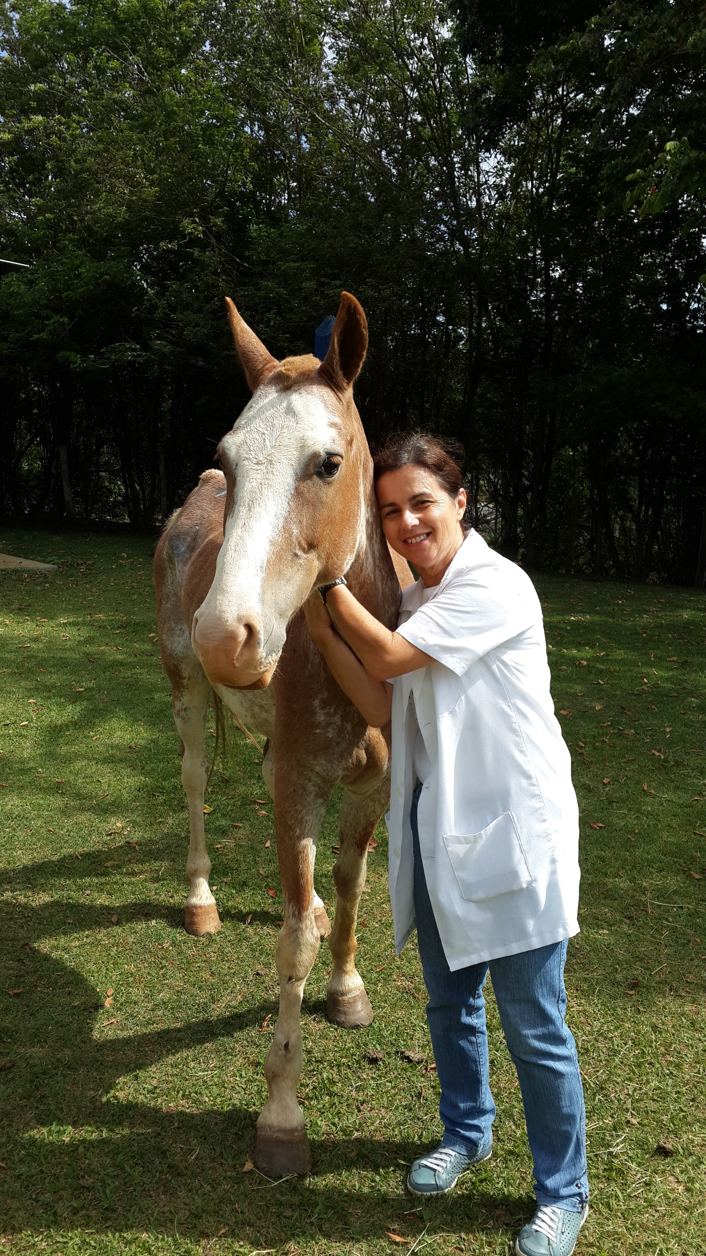 Animal_da_fazenda_escola_da_fesb