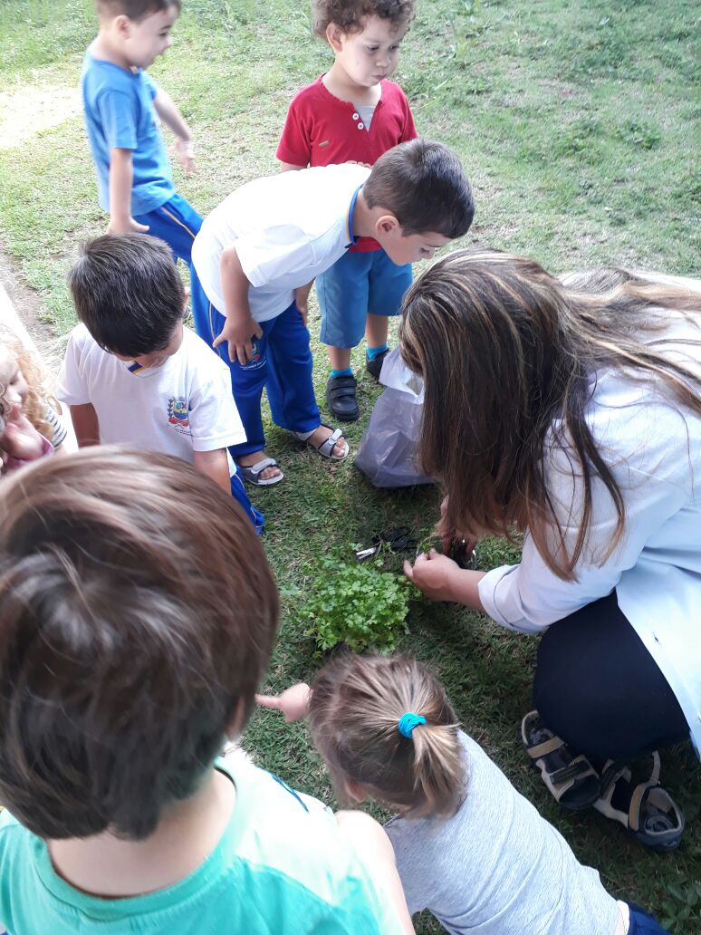 Atividade_de_estagio_horta_na_escola_2