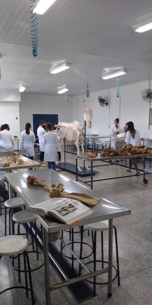 Aula_pr%c3%a1tica_-_anatomia