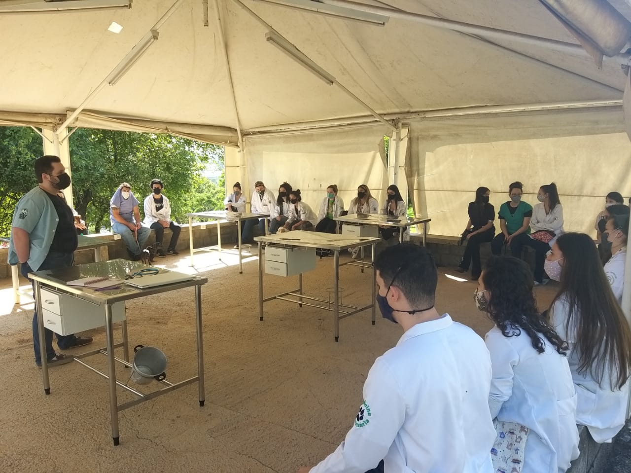 Aula_pr%c3%a1tica_-_semiologia_de_pequenos_animais