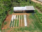 Fazenda_escola