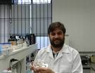 Nas mãos de Leandro:  células embriogênicas de araucária cultivadas in vitro