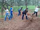 Preparação da terra (2)