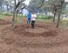 Montagem da horta circular
