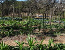 Panorama geral do sistema