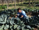 Prof. Francisco - coordenador do Sistema Agroflorestal/FESB