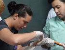 Palestra de Medicina - répteis